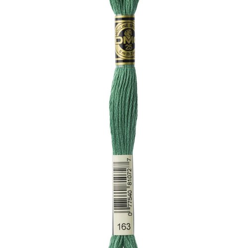 Mouliné dmc 163