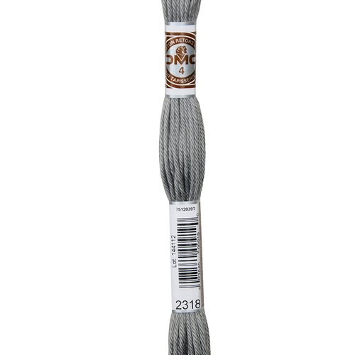 Echeveau retors mat dmc fil canevas col 2318