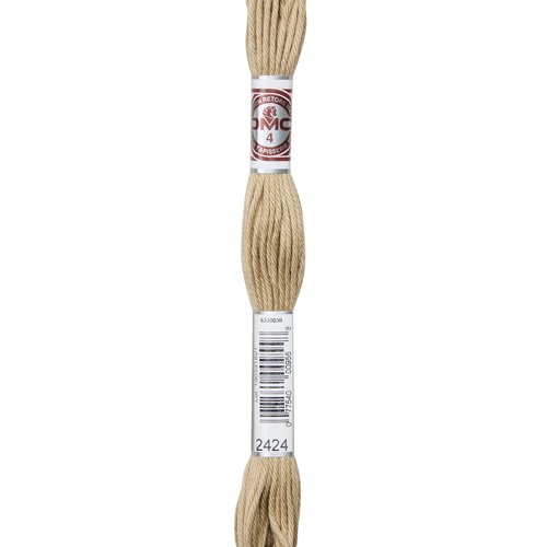 Echeveau retors mat dmc fil canevas col 2424