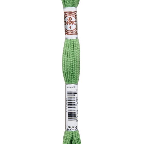 Echeveau retors mat dmc fil canevas col 2563