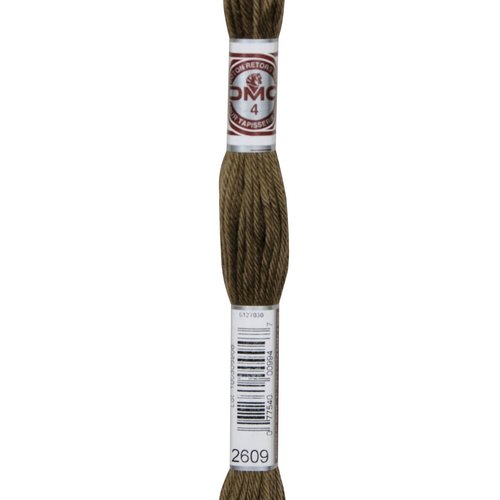 Echeveau retors mat dmc fil canevas col 2609