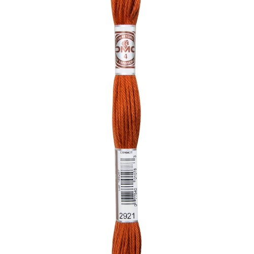 Echeveau retors mat dmc fil canevas col 2921