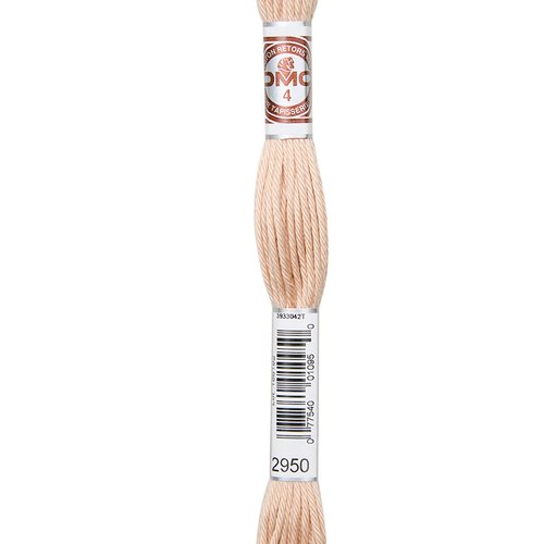 Echeveau retors mat dmc fil canevas col 2950