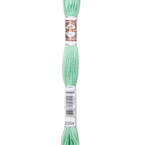 Echeveau retors mat dmc fil canevas col 2954