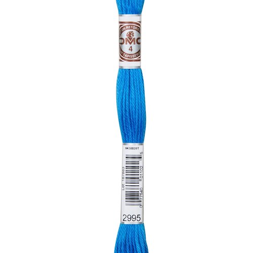 Echeveau retors mat dmc fil canevas col 2995
