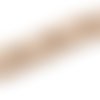 Rallonge attache de soutien-gorge peau 20 mm 3 x 1 crochet prym 992122
