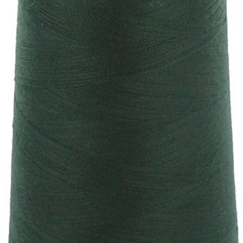 Cône surjeteuse fil au chinois 5000m coloris vert 890