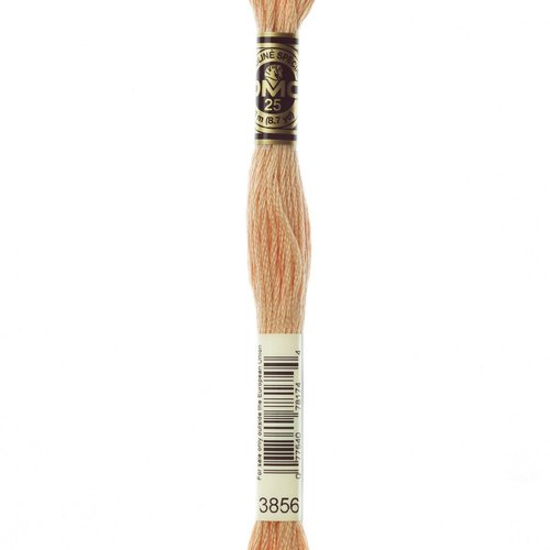 Mouliné dmc 3856