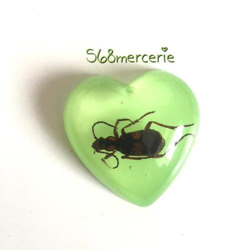 Destock pendentif coeur insecte en résine
