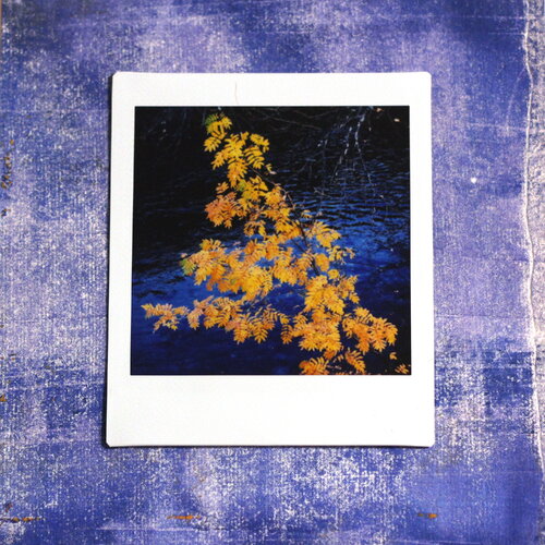 Photographie  instax square sur papier acrylique - thème : automne #7 // décoration originale