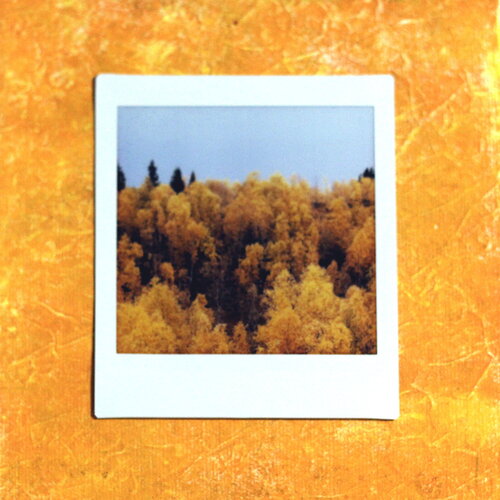 Photographie instax square sur papier acrylique - thème : automne #5 // décoration originale