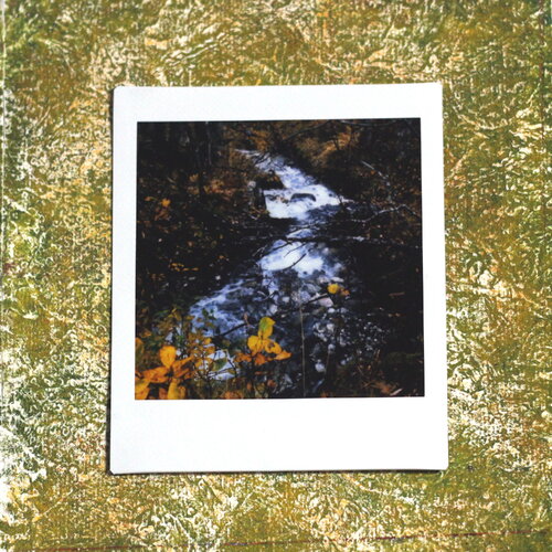 Photographie instax square sur papier acrylique - thème : automne #4 // décoration originale