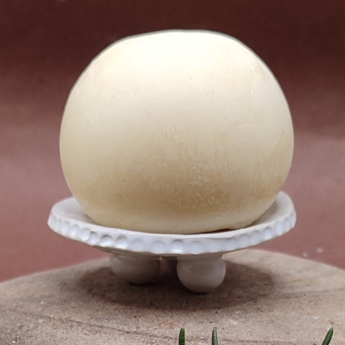 Ensemble savon au lait de chèvre sur son porte-savon.