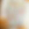 Tableau pecs avec 30 cartes images pictogrammes plastifié/ magnétiques, outil de communication visuelle autisme