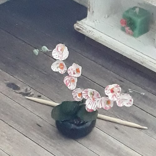 Fleur miniature - orchidée miniature et pot en porcelaine