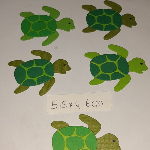  découpe tortue x 5