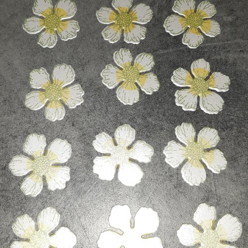 Lot de 15 fleurs iriser