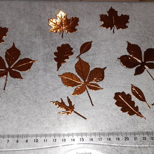 Lot de feuilles