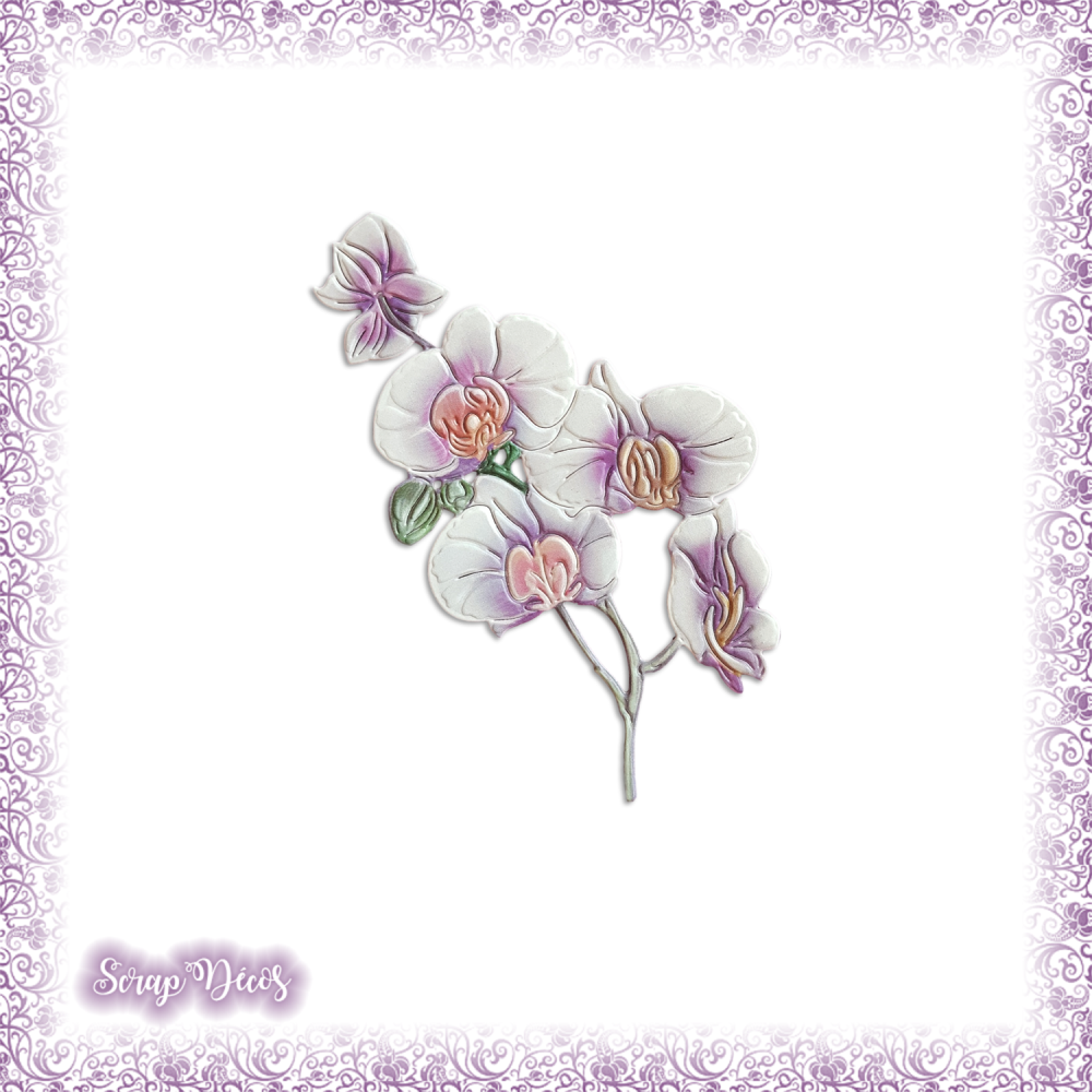 Decoupe Scrapbooking Branche Orchidees Fleurs Plantes Jardin Bouquet Nature En Couleurs Embellissement Die Papier Scrap Ref 2630 Un Grand Marche