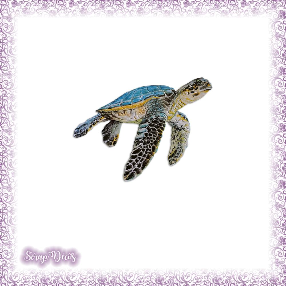 Grande Tortue Des Mers Chaudes En 5 Lettres