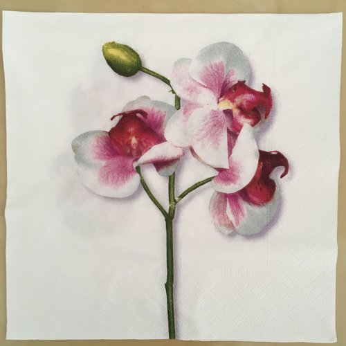 Serviette en papier "classic orchidée white"