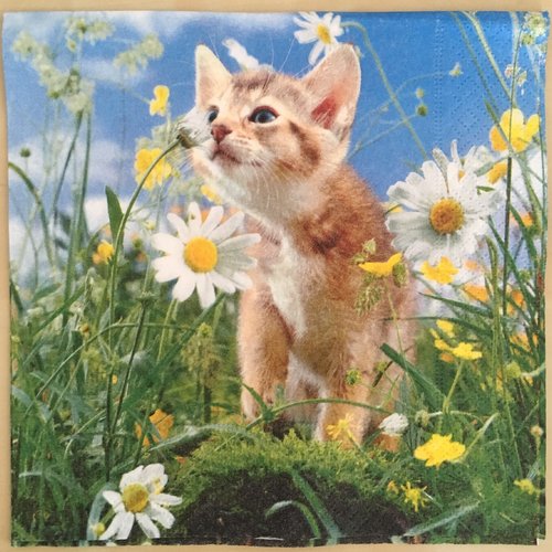 Serviette en papier "chaton parmi les fleurs"