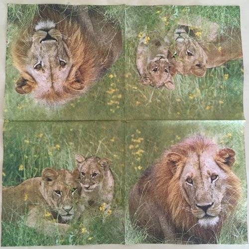 Serviette en papier "famille de lion"