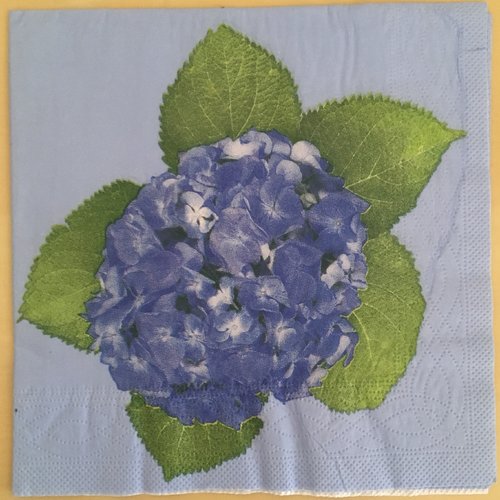 Serviette en papier «hortensia bleu»