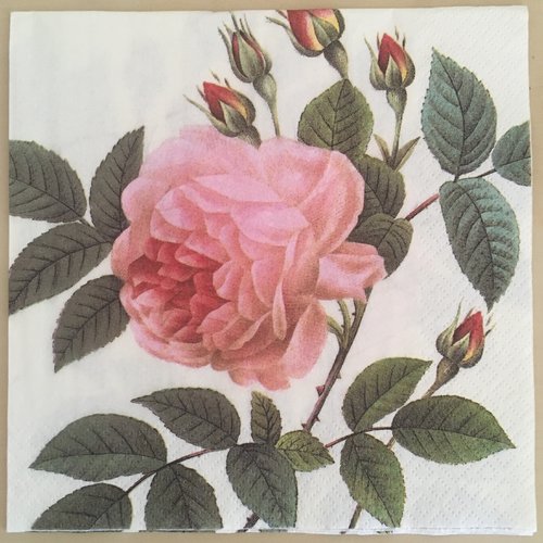 Serviette en papier «rose rose thé»