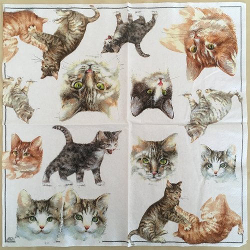 Serviette en papier «des chats»