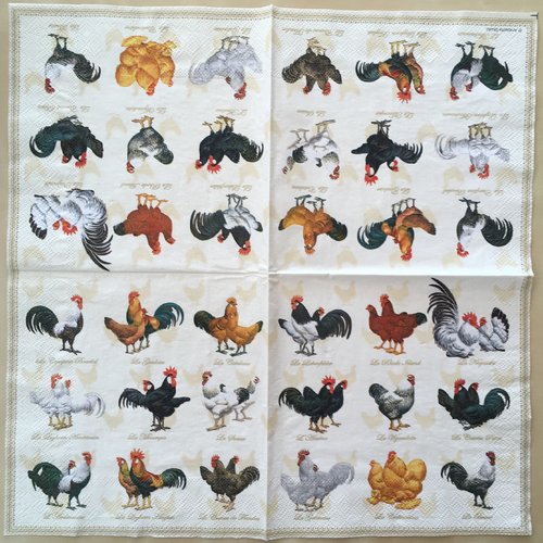Serviette en papier «les races de poules»