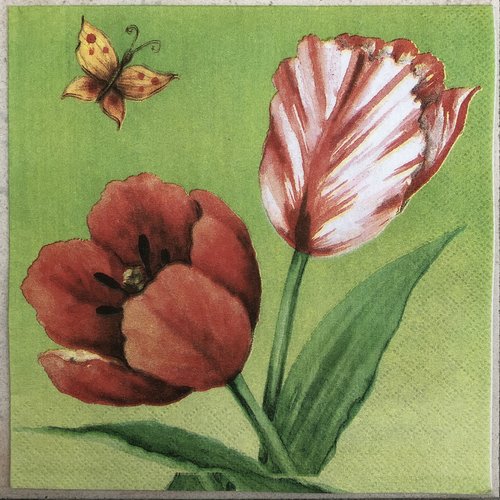 Serviette en papier "coquelicot, tulipe et papillon"
