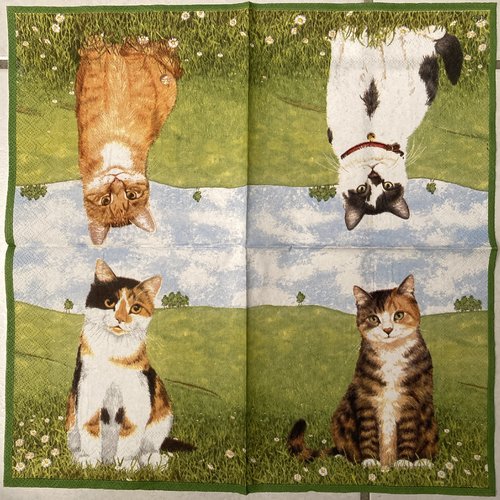Serviette en papier "les quatre chats"