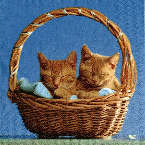 2 serviettes papier - chats -10