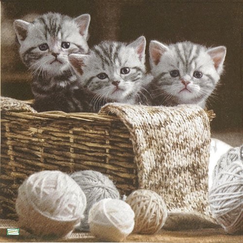 2 serviettes papier - chats -13