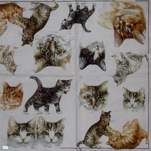 2 serviettes papier - chats -41