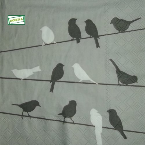 2 serviettes papier - les oiseaux-16