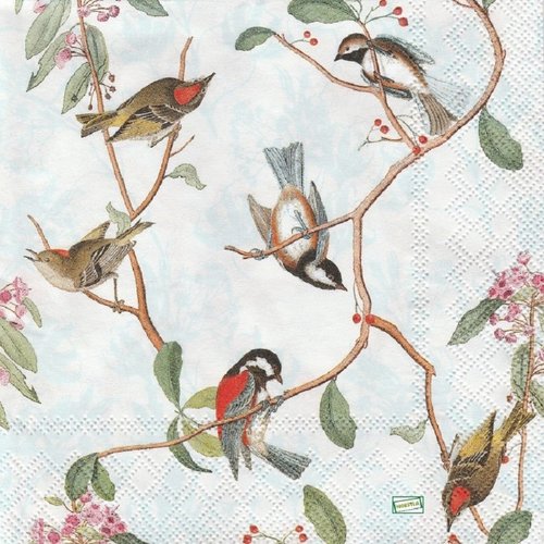 2 serviettes papier - les oiseaux-31