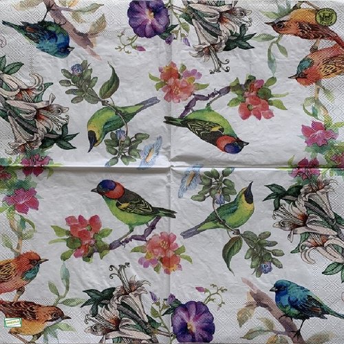 2 serviettes papier - les oiseaux-158