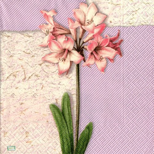 2 serviettes papier - orchidés lys -9