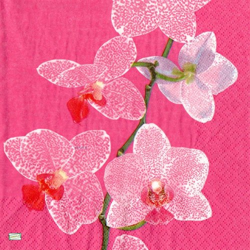 2 serviettes papier - orchidés lys 18