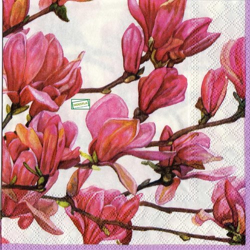 2 serviettes papier - orchidés lys -40