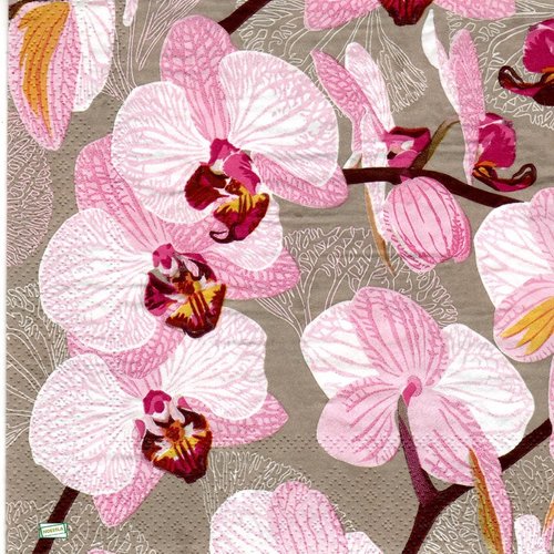 2 serviettes papier - orchidés lys -51