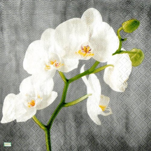 2 serviettes papier - orchidés lys -61