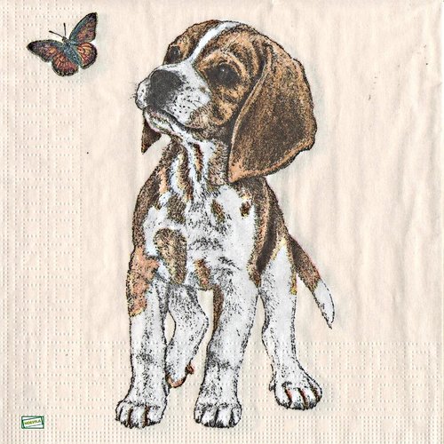 2 serviettes papier - chiens - 19
