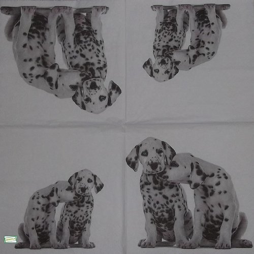 2 serviettes papier - chiens - 64