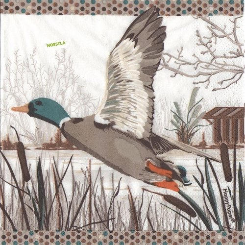 2 serviettes papier - oiseaux ferme -4