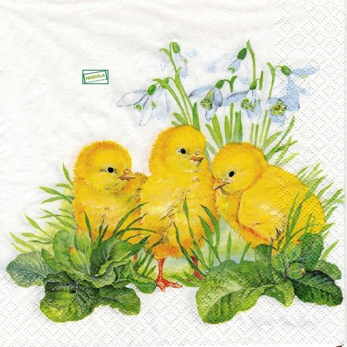 2 serviettes papier - oiseaux ferme -88