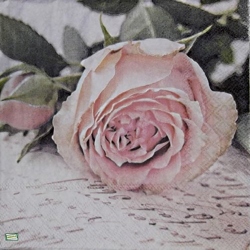 2 serviettes papier - roses pivoines -99