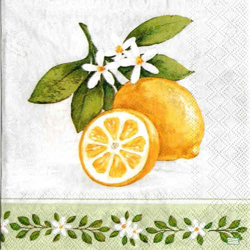 2 serviettes papier - citrons oranges -15